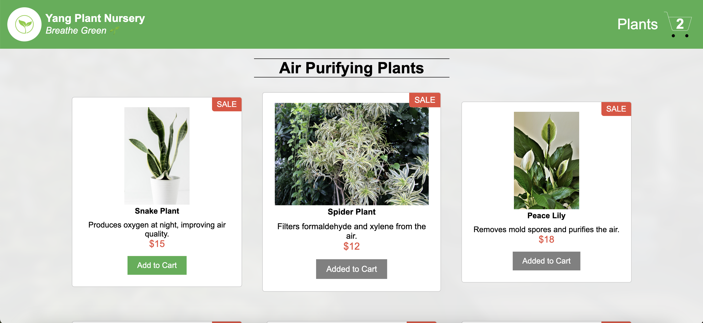 Picture of plant nursery
